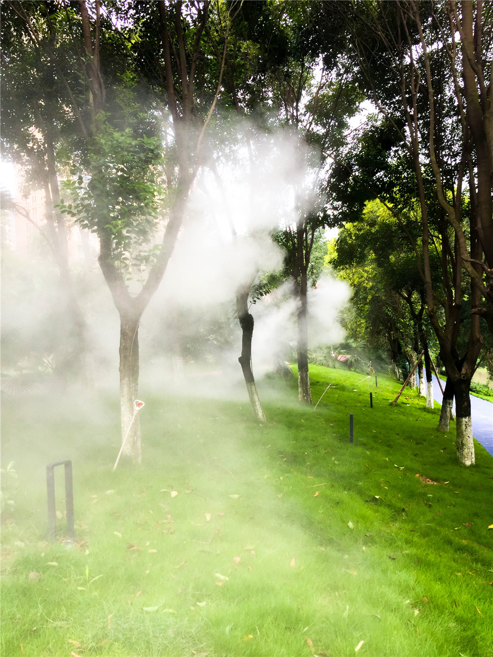 人造雾系统 人造雾,小区人造雾