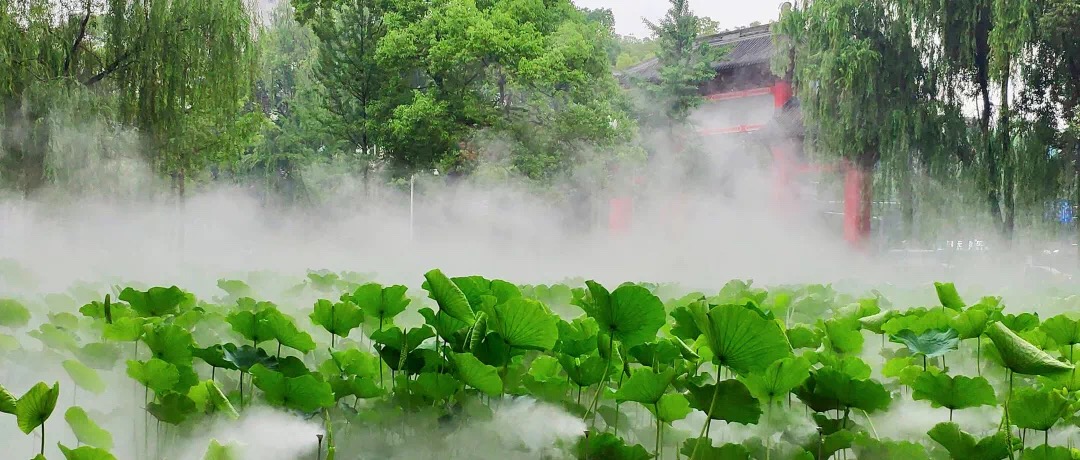 喷雾景观,喷雾造景