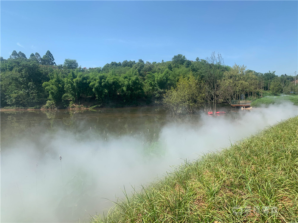 公园人造雾 人造雾